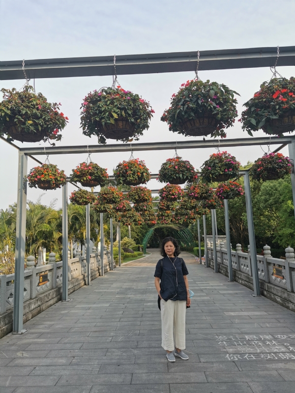 一叶知秋的第一张照片--广东中老年相亲网