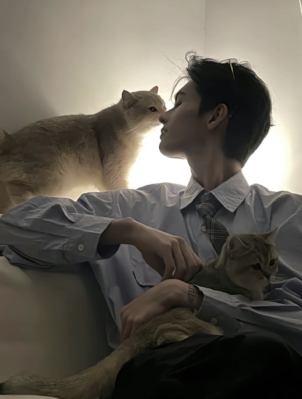 怪猫的第一张照片--广东中老年相亲网